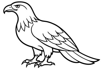 Obraz premium Elegant Eagle Stroke