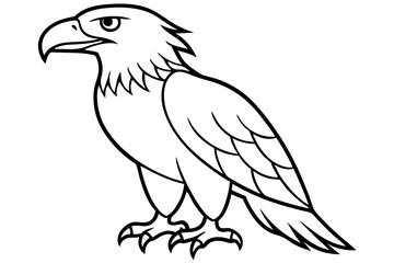 Elegant Eagle Stroke