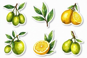Hand-painted watercolor olive oil stickers & badges Ideal for labels, packaging, & branding , cooking, gold