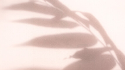 Pink backgroun shadow leaves overlay on wall floor backdrop mockup for presentation cosmetic
