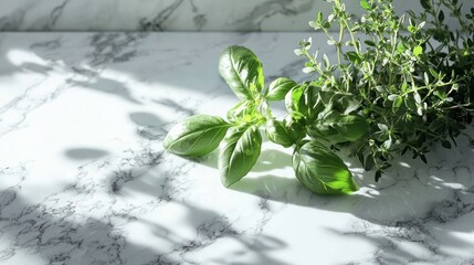 Fresh basil and thyme sprigs on marble.
