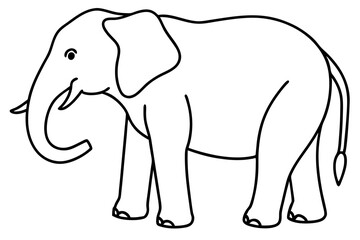 Fototapeta premium Elegant Elephant Linework