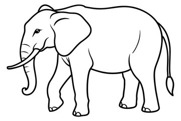 Elegant Elephant Linework