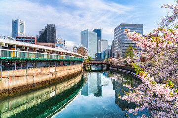 春の横浜・大岡川の都市風景　野毛都橋商店街と高層ビル群【神奈川県・横浜市】