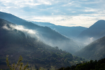 Obraz premium Foggy morning in the mountains