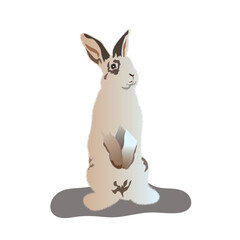 Cute standing Bunny Vector For Easter day Banner , poster. Rabbit Vector.