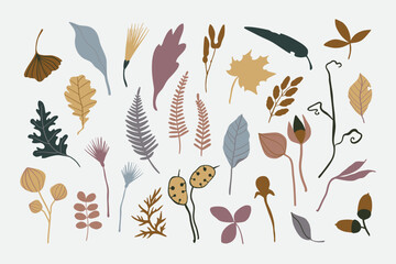 Vector set of floral elements: plants, leaves, dried herbs, wild flowers, acorns, seeds. Simple autumn collection. Floral silhouettes. Hand drawn vector flat botany set. Modern fall herbarium elements
