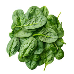 Fototapeta premium Fresh Green Spinach Leaves with Vibrant Color and Texture on Transparent Background. A pile of fresh green spinach leaves with a crisp texture, perfect for food and health-related designs.