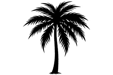 Fototapeta premium palm tree silhouette vector illustration