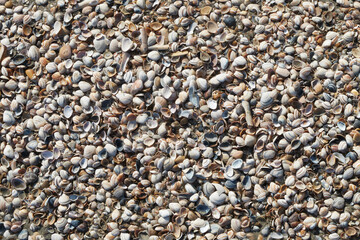 pebble stones background