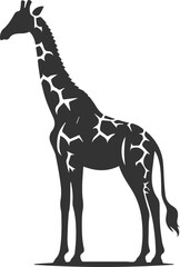 Giraffe standing still with its tail slightly curled vector silhouette