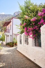 Fototapeta premium Traditional Greek architecture. House in Kas, Turkey