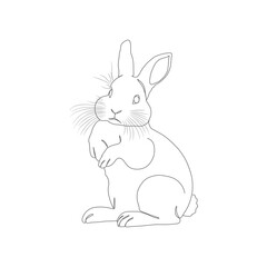 Fototapeta premium Adorable Rabbit Line Art Illustration — Minimalist Animal Drawing