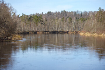 
A river flowing through a forested landscape with leafless trees, against a clear sky.