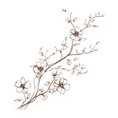 Elegant Hand-Drawn Floral Branch Illustration