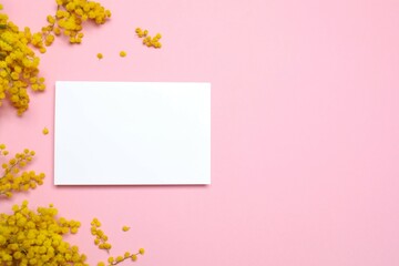 Beautiful composition with spring mimosa branches and paper card on a color background