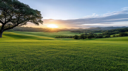 Obraz premium golden sunrise over rolling fields creates serene landscape