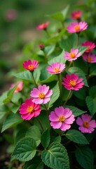 Close-up shot of vibrant wildflowers in bloom amidst green ivy vines, plant, nature