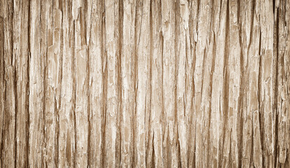 wood bark wall texture abstract background