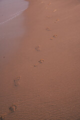 ビーチに残る足跡