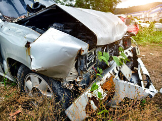 Abandoned cars after accidents in a dense overgrown setting