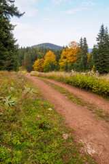 the plateau road in autumn