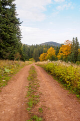 the plateau road in autumn