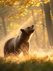 A bear stands in a forest, illuminated by golden sunlight filtering through autumn leaves, creating a serene and majestic atmosphere.