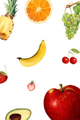 Hand drawn mixed tropical fruit design element