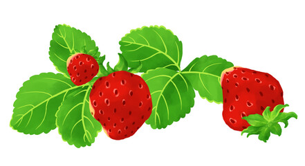 フレッシュなイチゴのイラスト