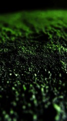 Moringa powder's bright green color and fine texture