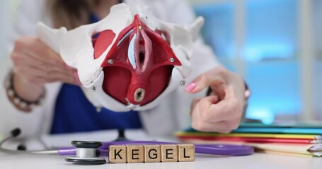 This article offers a detailed overview of Kegel exercises, focusing on pelvic health and muscle anatomy