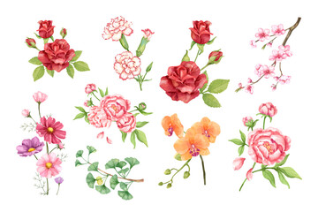 PNG watercolor flower set, transparent background