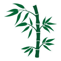 Hand drawn bamboo tree stem and leaves