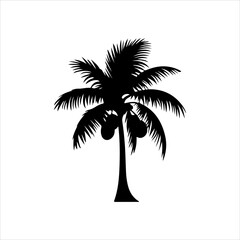 Coconut tree silhouette, black and white silhouette, vector and illustration