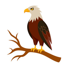 A eagle sit on a tree branch isolated on transparent background