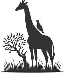 Naklejka premium Giraffe standing still with bird perched on its back vector silhouette