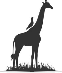 Giraffe standing still with bird perched on its back vector silhouette