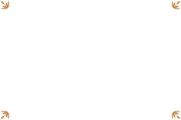 Elements of ornate vintage frames. Border gold on white classic calligraphy swirls, floral motifs. Design print for greeting cards, wedding invitations, restaurant menu, royal certificates. Set 414