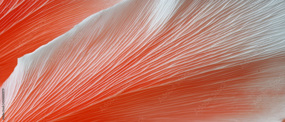 Poster macro shot of flower petal capturing texture and vibrant colors