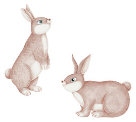 Cute rabbits png sticker, Easter celebration, transparent background