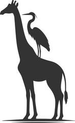 Giraffe standing with a heron on its back vector silhouette