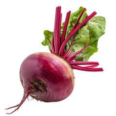 Fresh Beetroot Square Isolated on a White Background: A Rich, Earthy Vegetable with Deep Purple Color and Nutrient-Rich Appeal