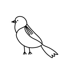 Bird collection
