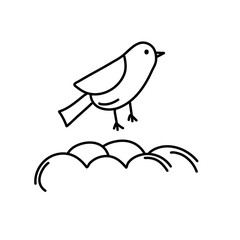 Bird collection
