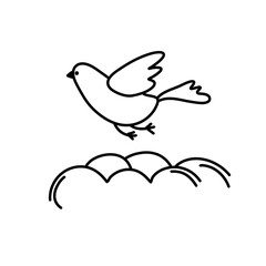 Bird collection

