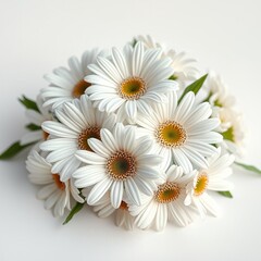 Fototapeta premium Delicate Daisy Designs for Mother's Day Keepsakes