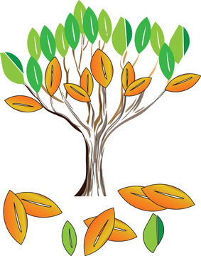 a nice tree with tree green leaf