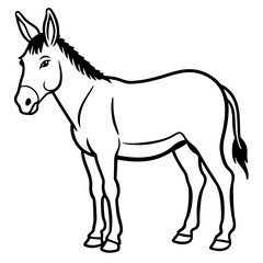 horse vector illustration