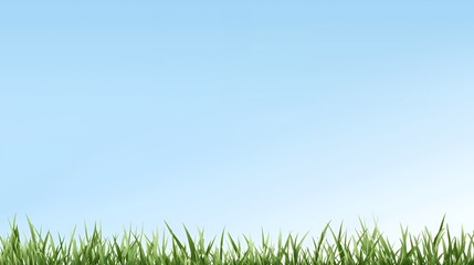 Green Grass Against a Blue Sky Background